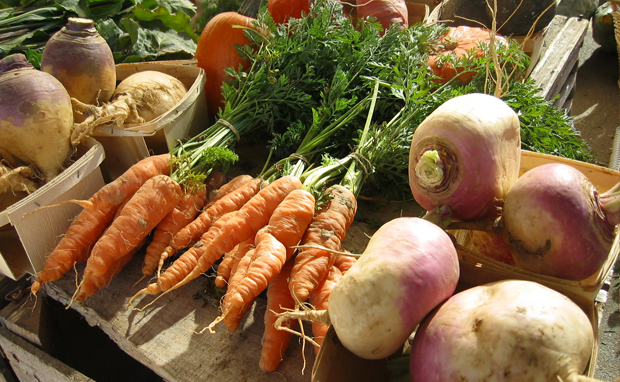 Alimentos orgânicos Alimentos orgânicos