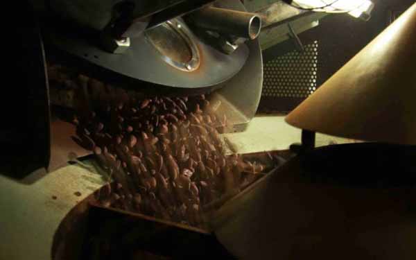 Torrefação do Cacau aumento da torrefação do cacau ajuda a produzir chocolate saudável