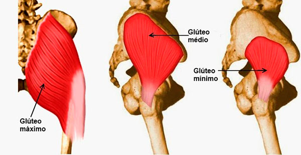 A importância do glúteo médio para corrida