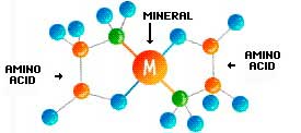 Minerais quelados aceleram o efeito de cosméticos 